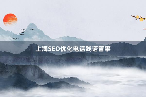 上海SEO优化电话践诺管事