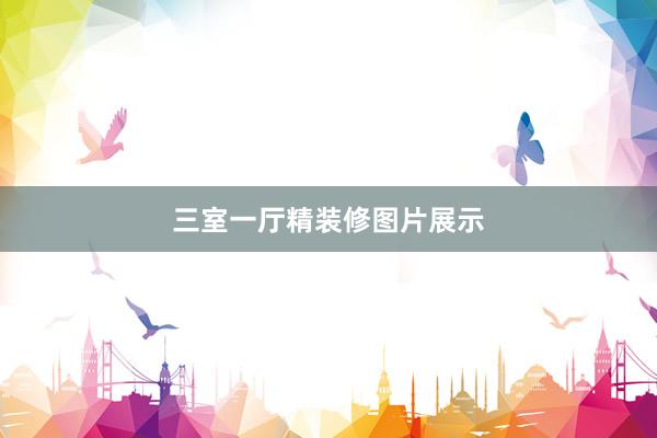 三室一厅精装修图片展示