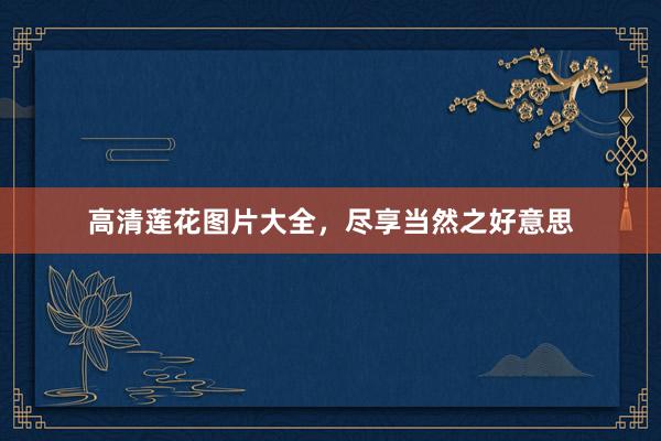 高清莲花图片大全，尽享当然之好意思