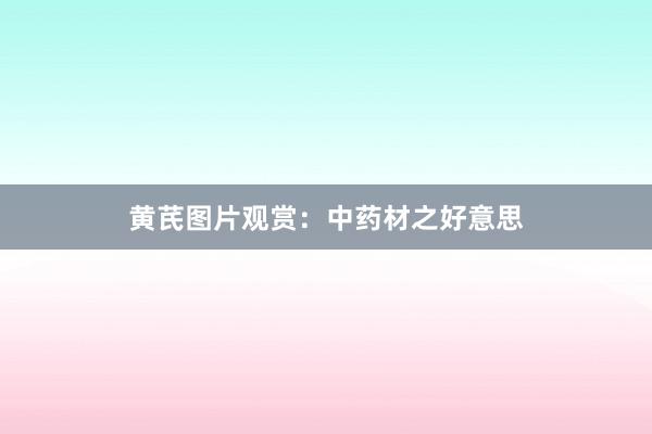 黄芪图片观赏：中药材之好意思